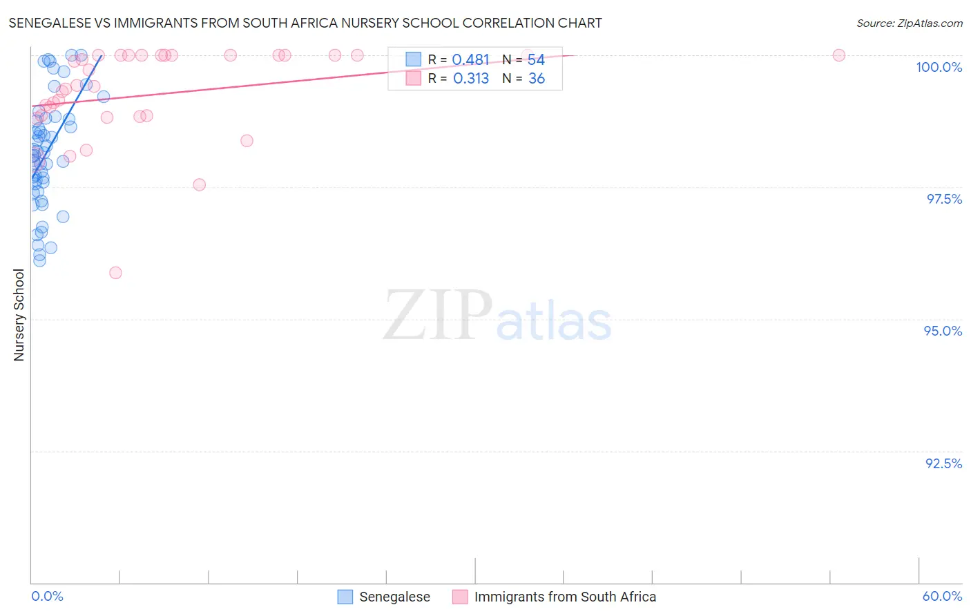 Senegalese vs Immigrants from South Africa Nursery School