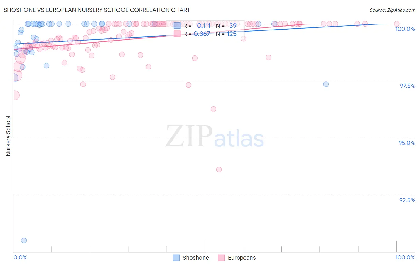 Shoshone vs European Nursery School