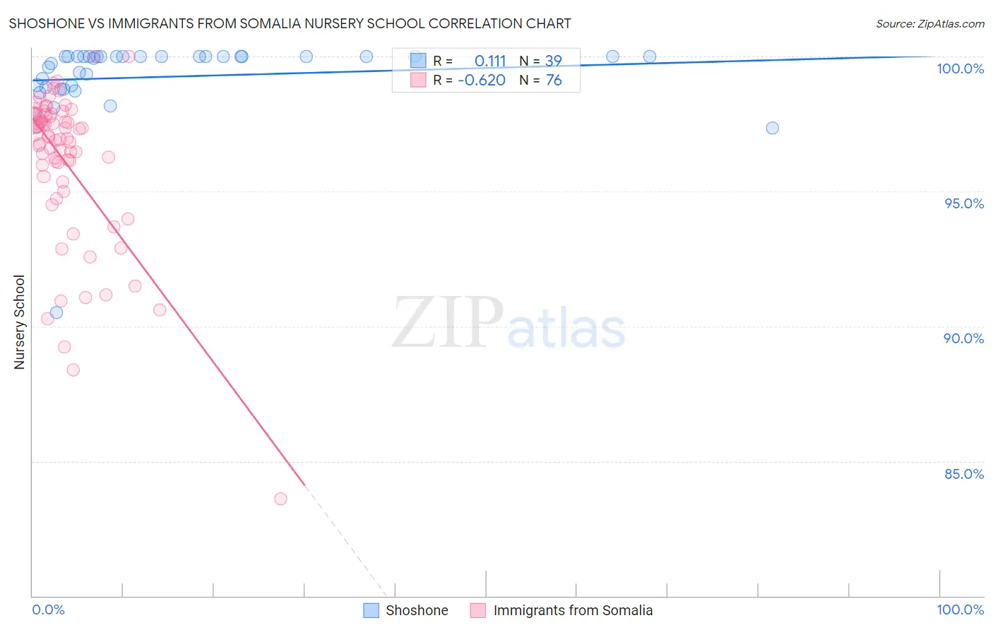 Shoshone vs Immigrants from Somalia Nursery School