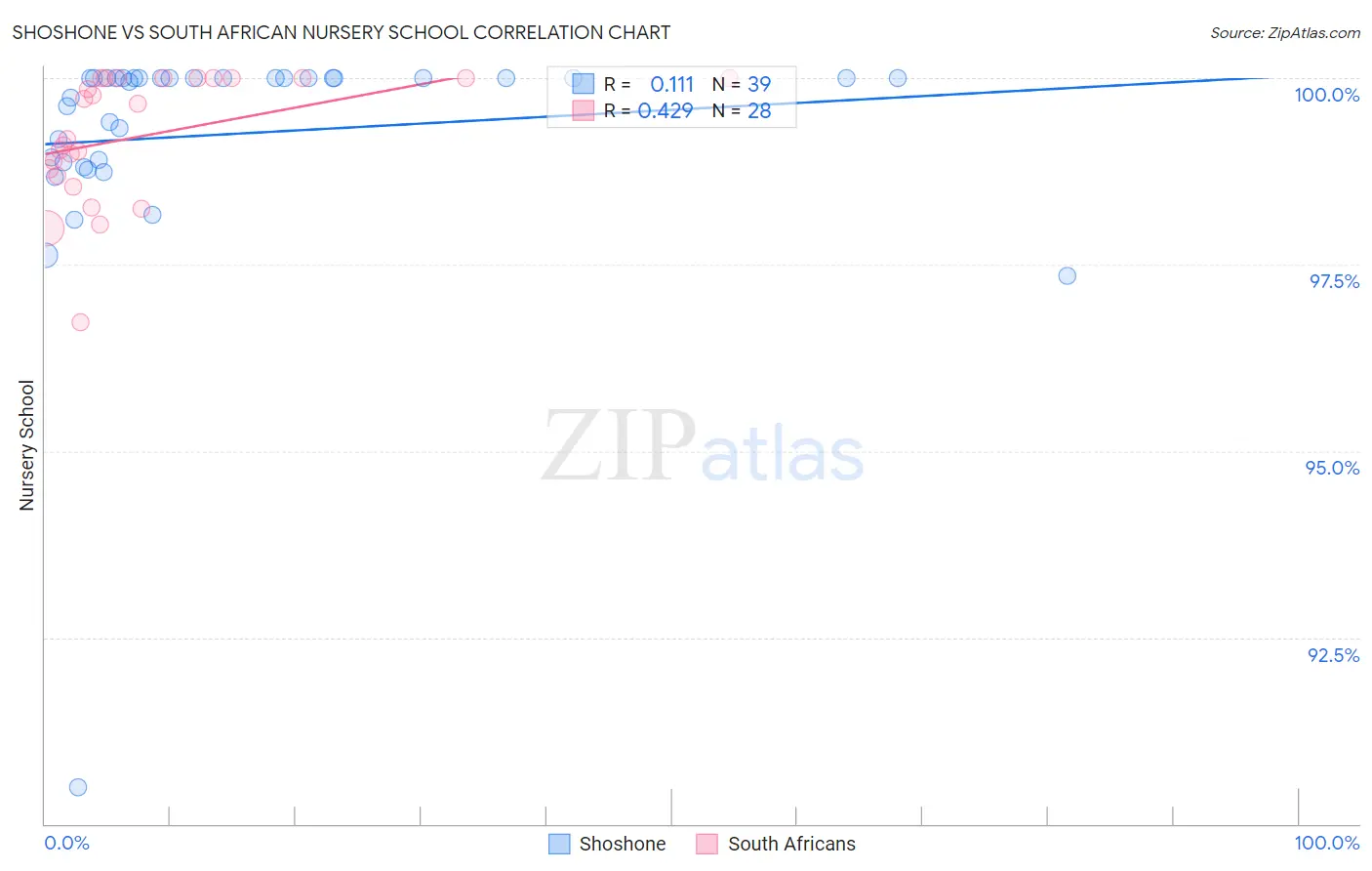 Shoshone vs South African Nursery School