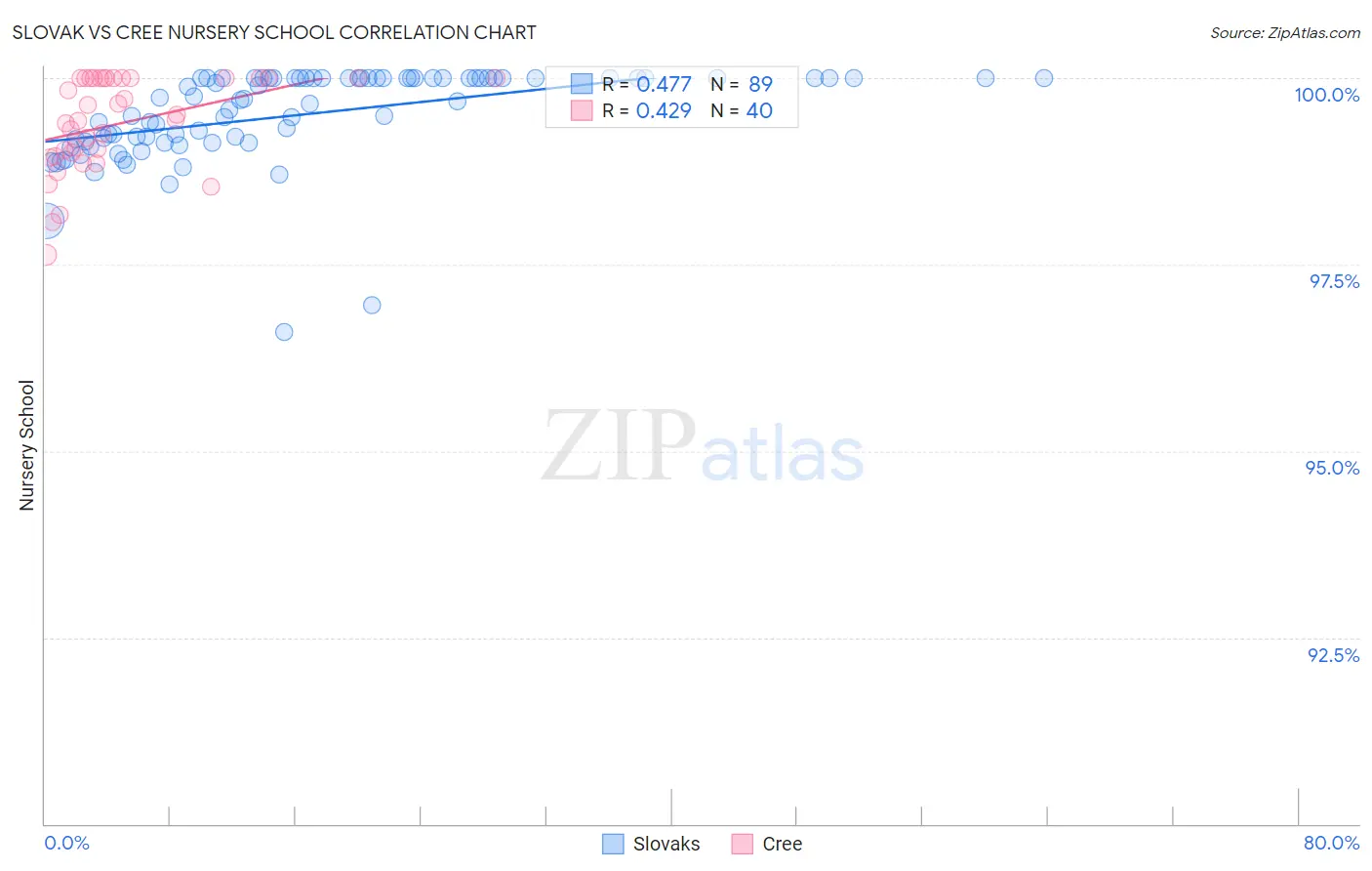 Slovak vs Cree Nursery School