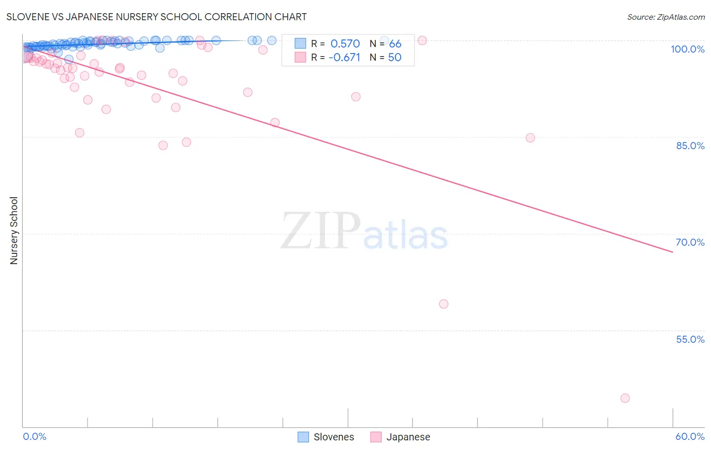 Slovene vs Japanese Nursery School