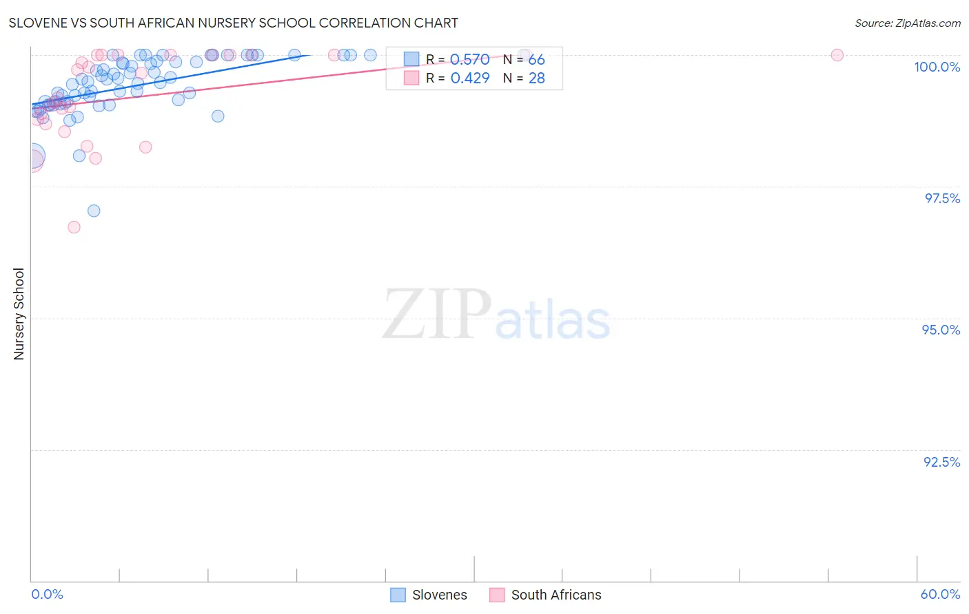 Slovene vs South African Nursery School