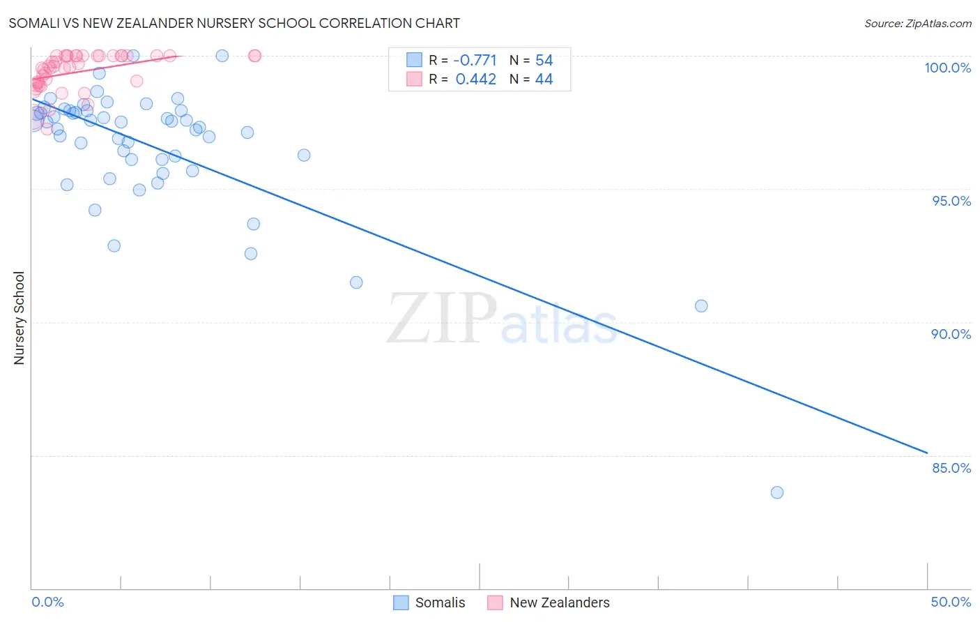 Somali vs New Zealander Nursery School
