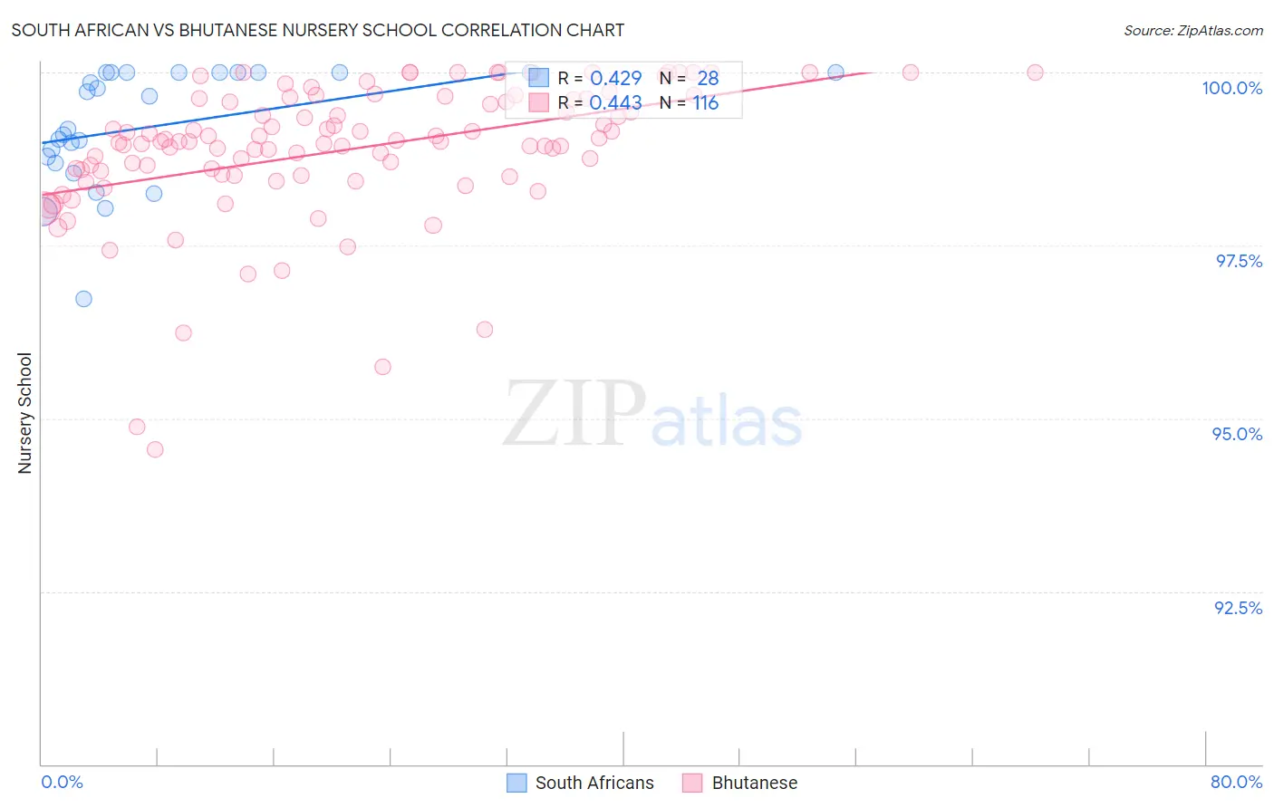 South African vs Bhutanese Nursery School