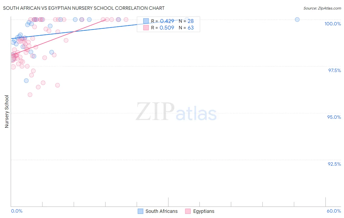 South African vs Egyptian Nursery School