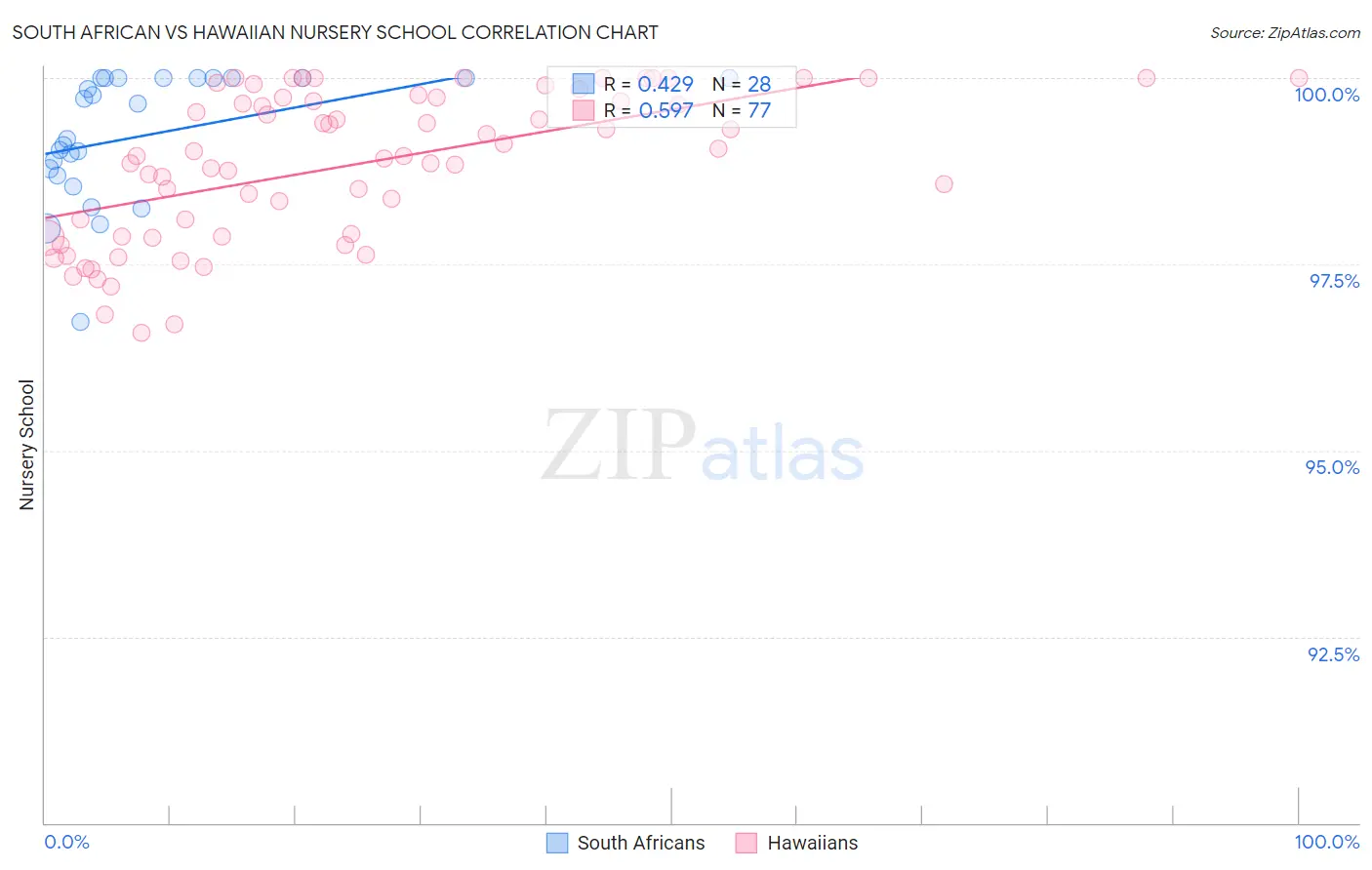 South African vs Hawaiian Nursery School