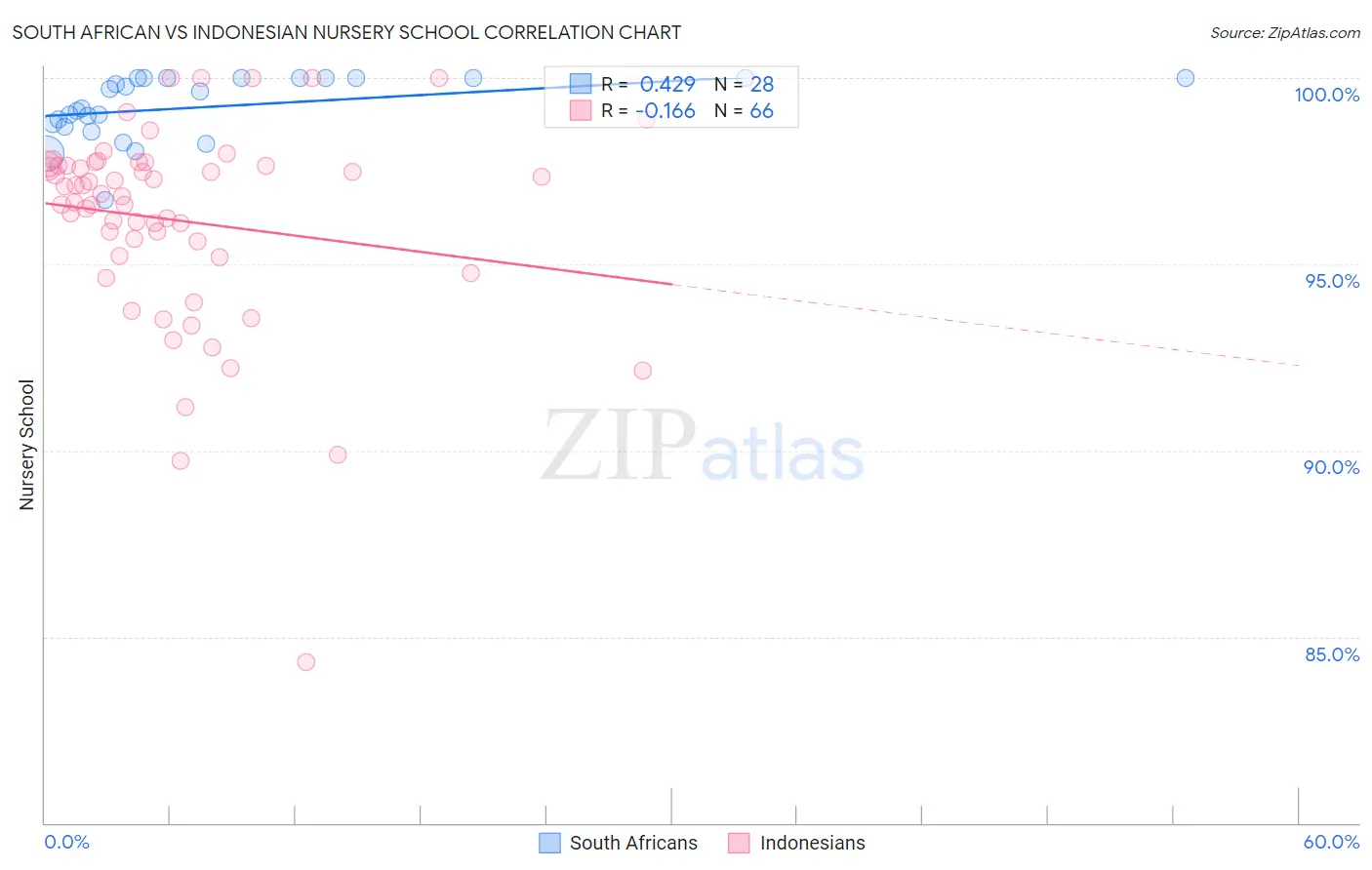 South African vs Indonesian Nursery School
