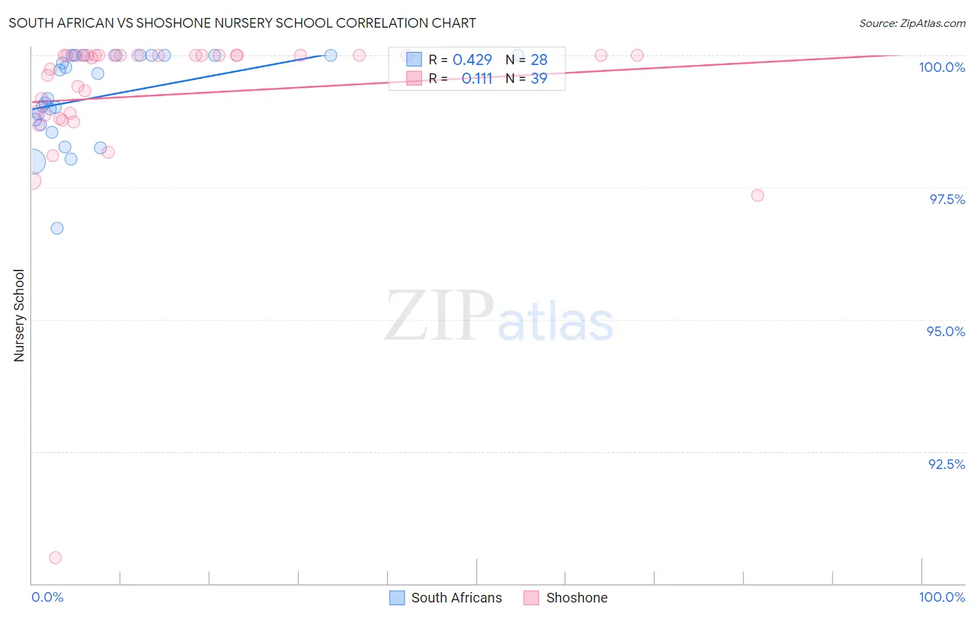 South African vs Shoshone Nursery School