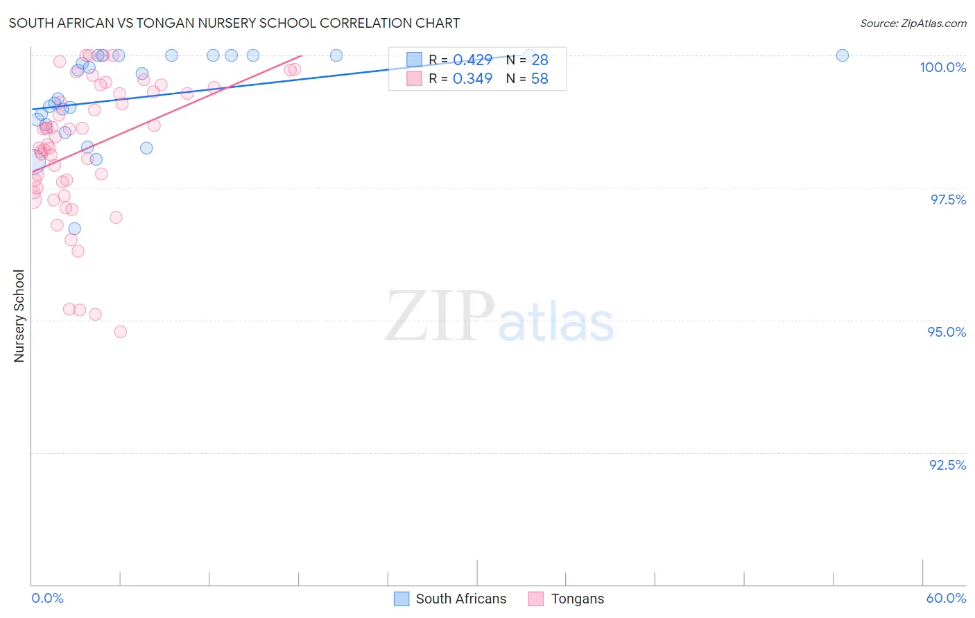 South African vs Tongan Nursery School