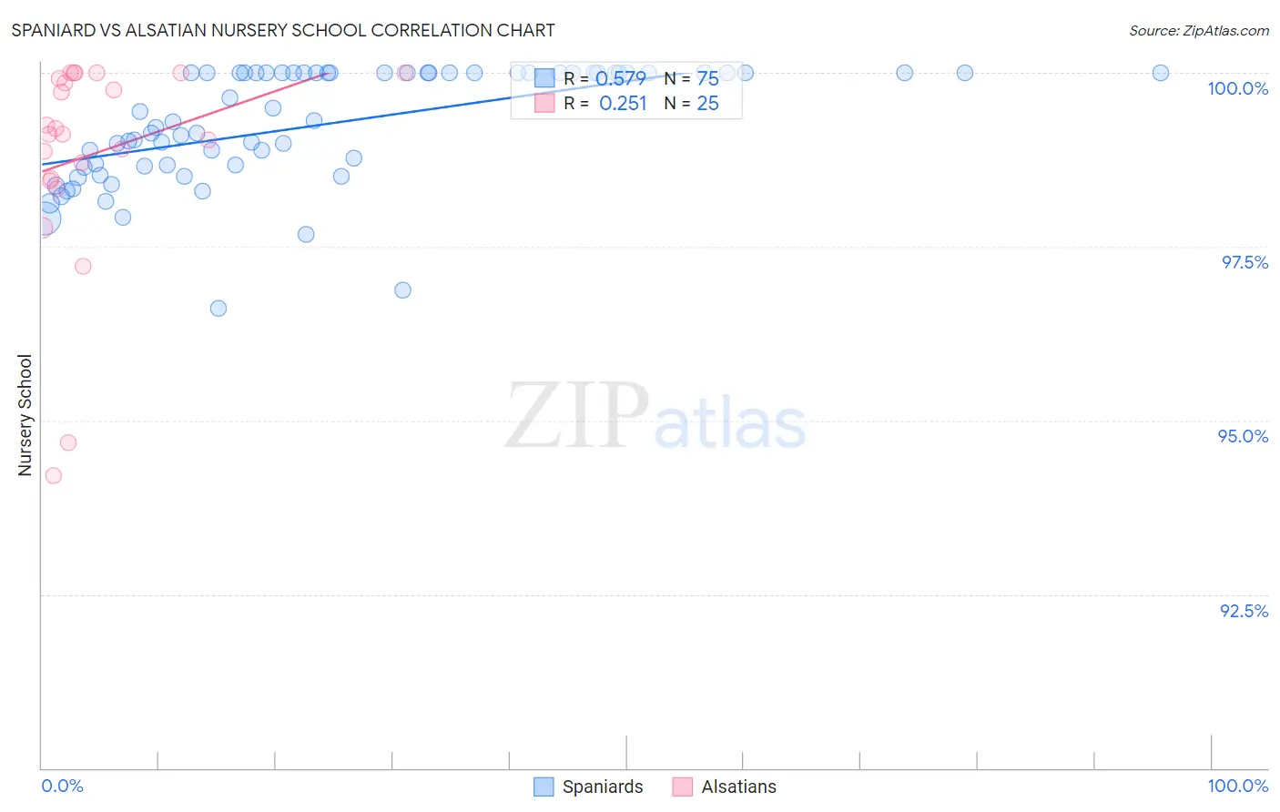 Spaniard vs Alsatian Nursery School