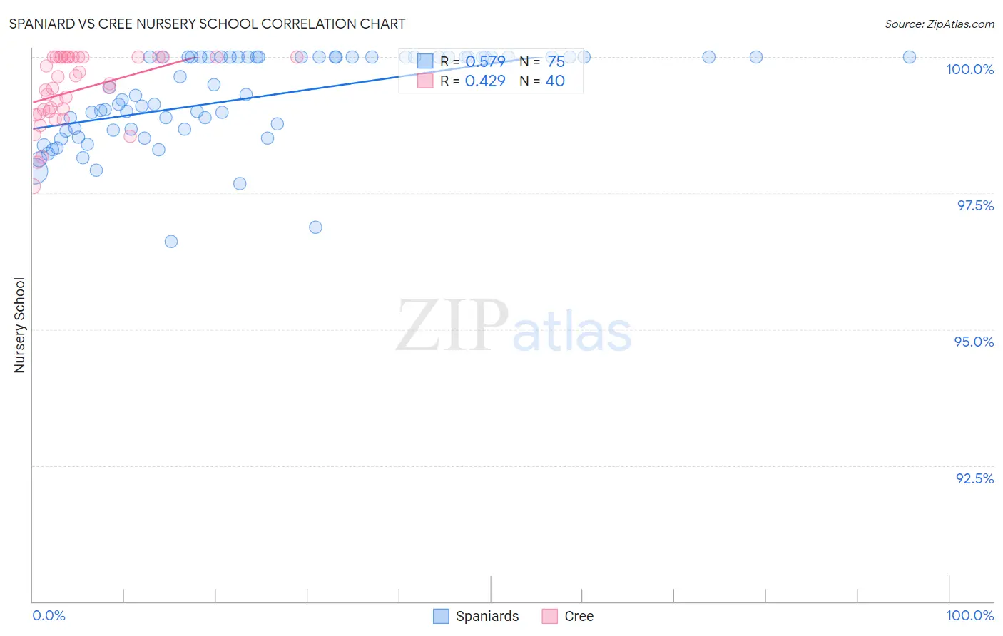 Spaniard vs Cree Nursery School