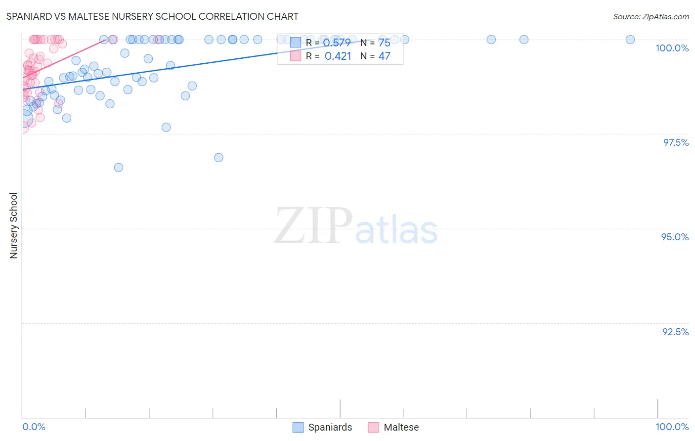 Spaniard vs Maltese Nursery School