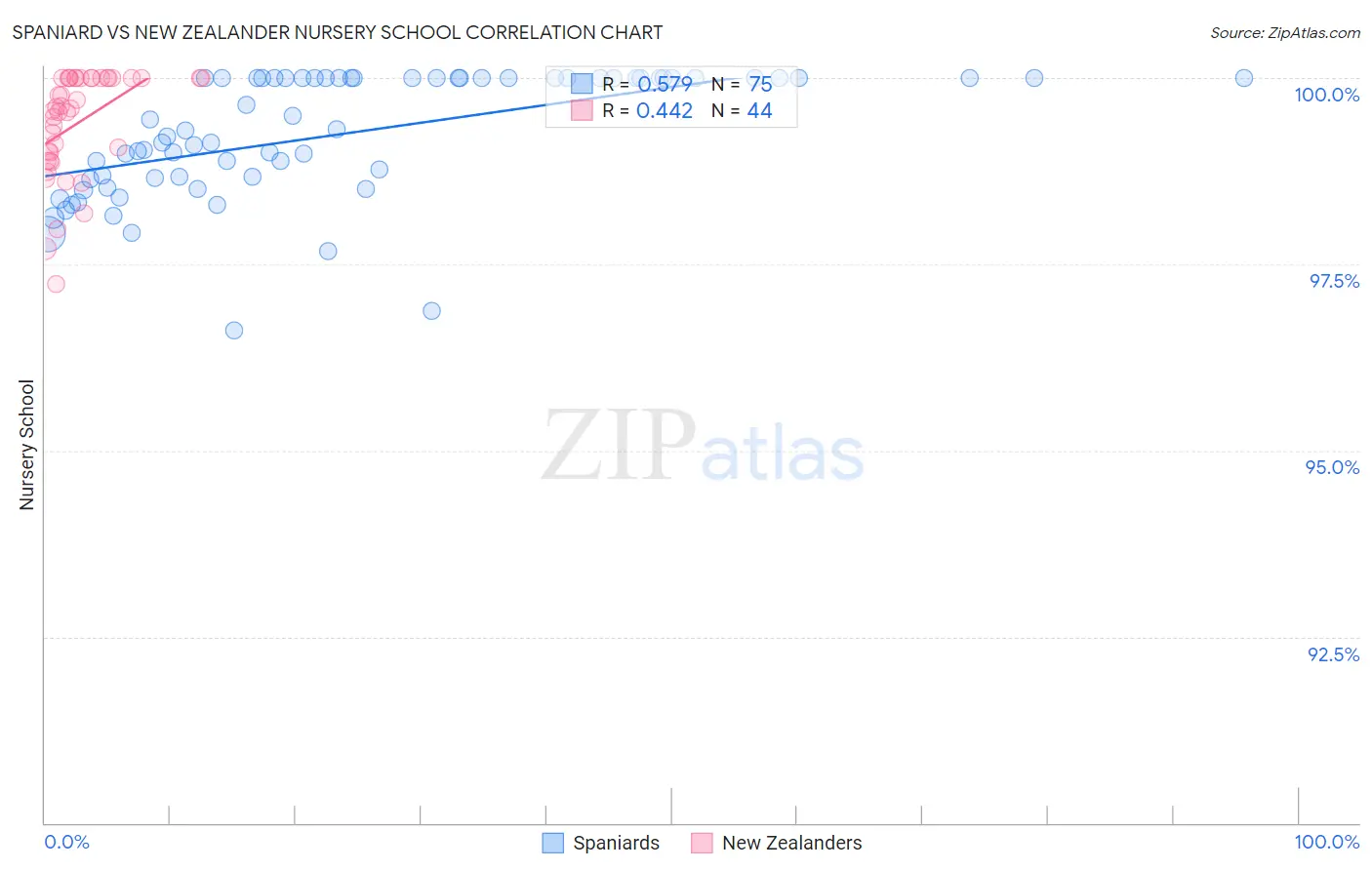 Spaniard vs New Zealander Nursery School