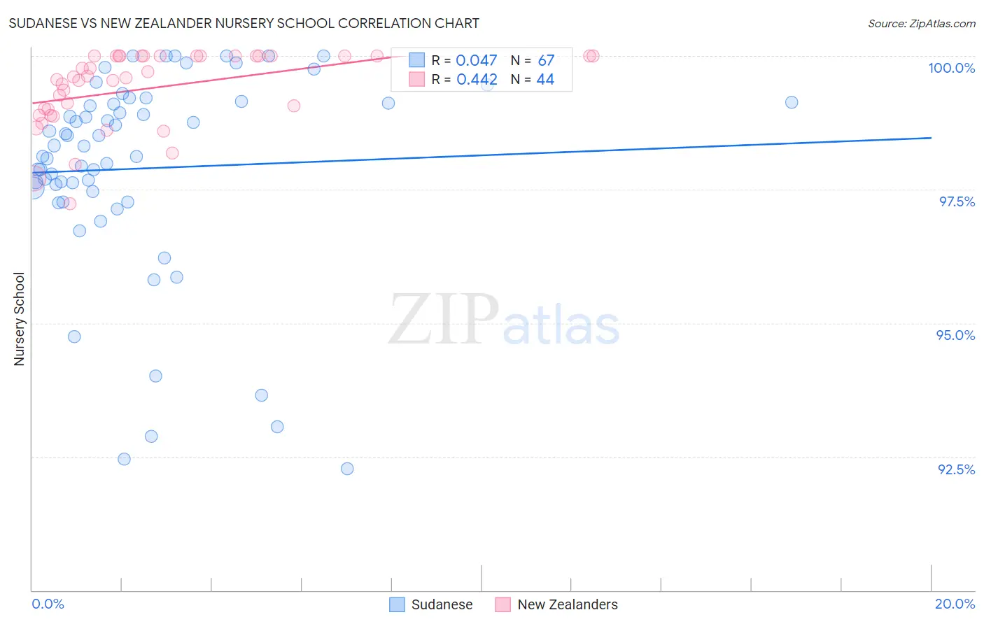Sudanese vs New Zealander Nursery School