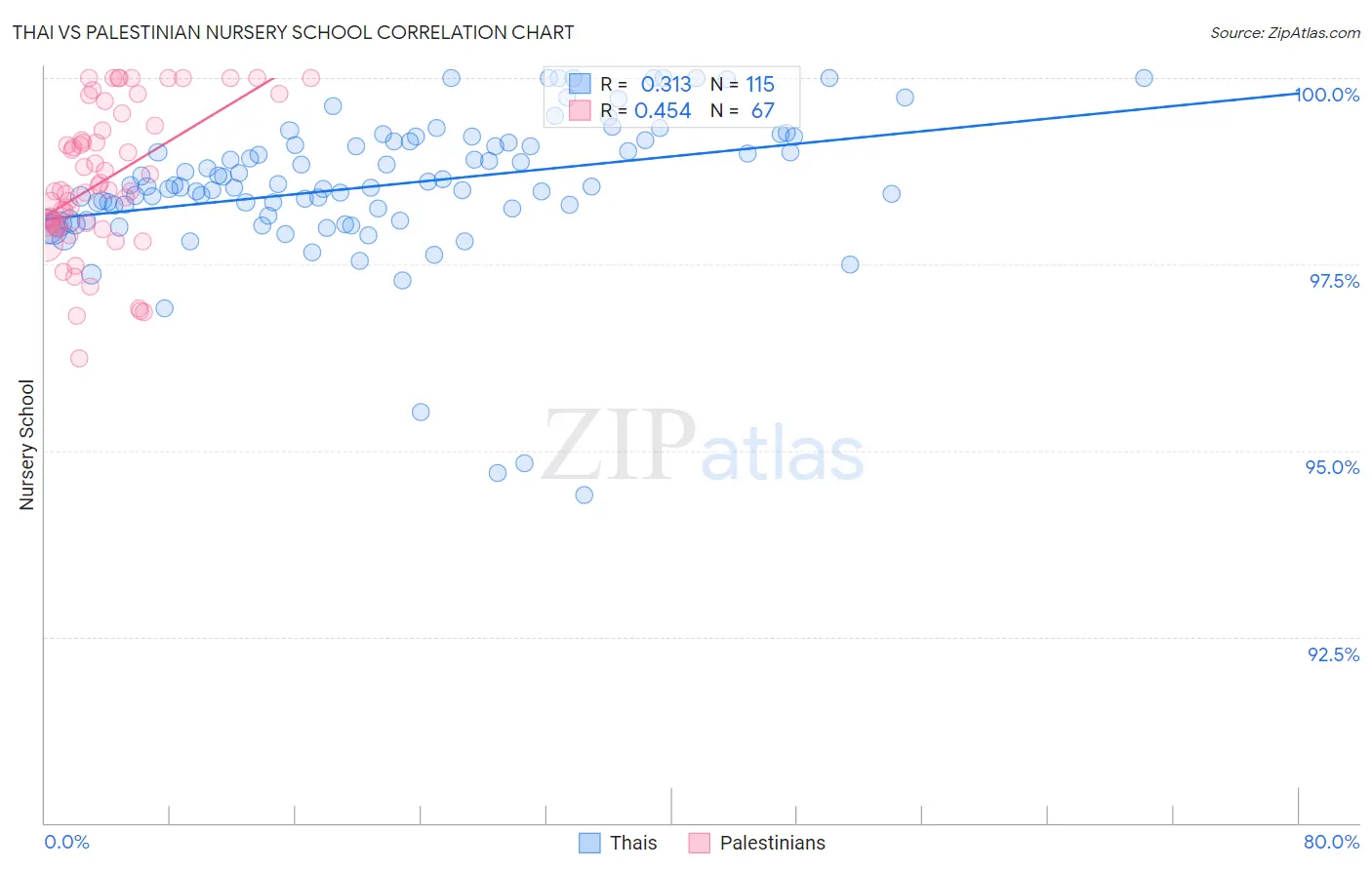 Thai vs Palestinian Nursery School