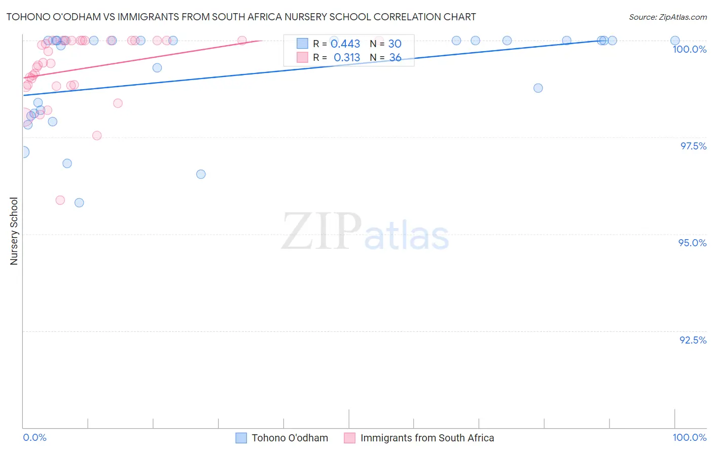 Tohono O'odham vs Immigrants from South Africa Nursery School