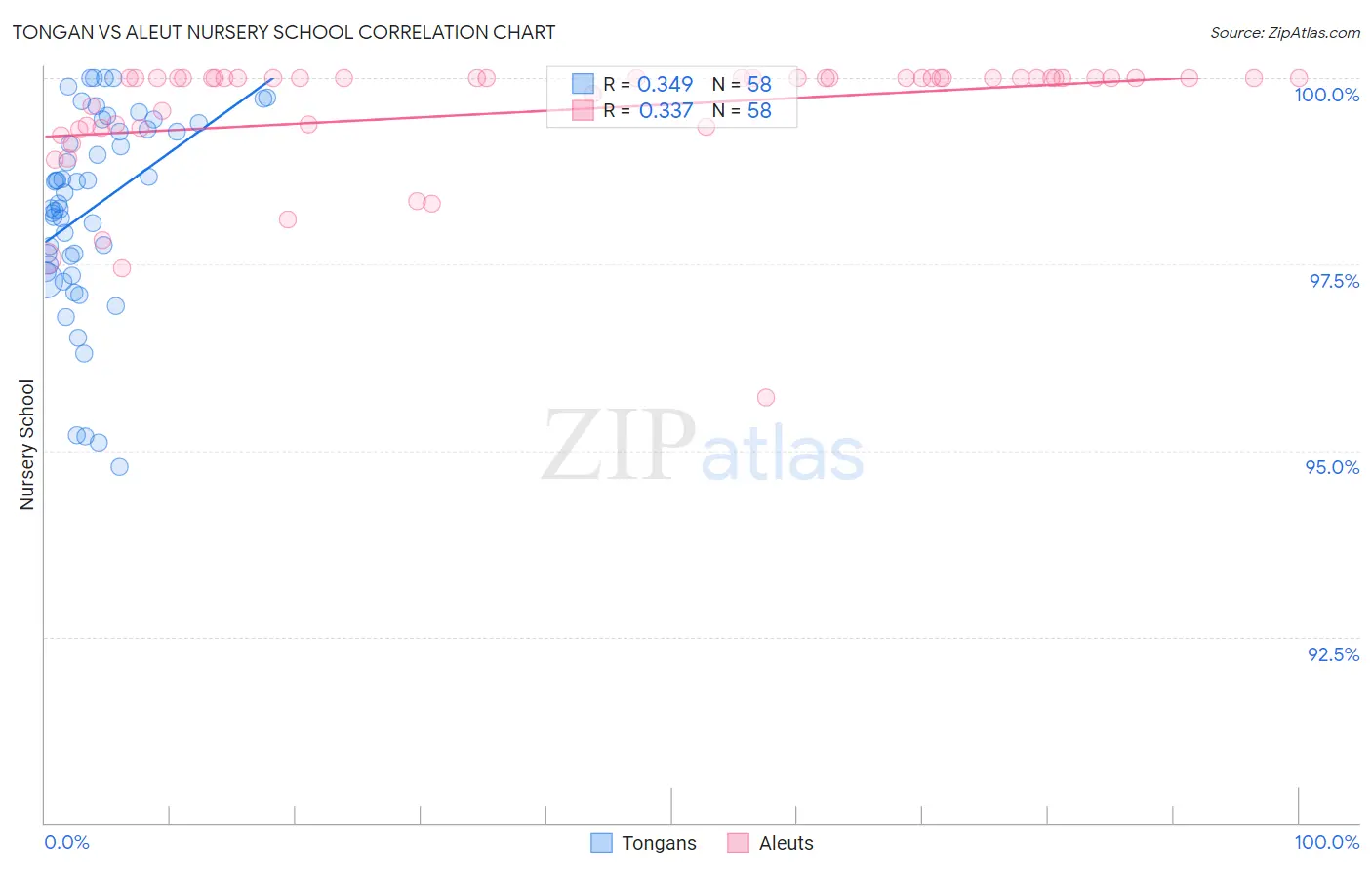 Tongan vs Aleut Nursery School