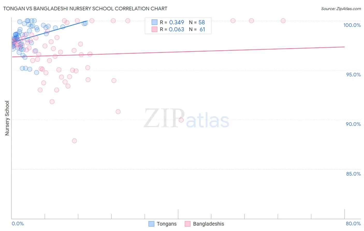 Tongan vs Bangladeshi Nursery School