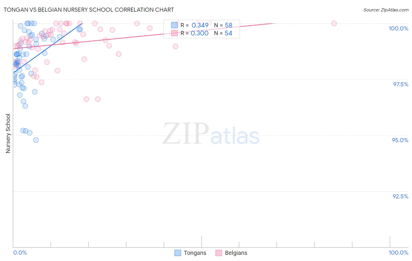 Tongan vs Belgian Nursery School