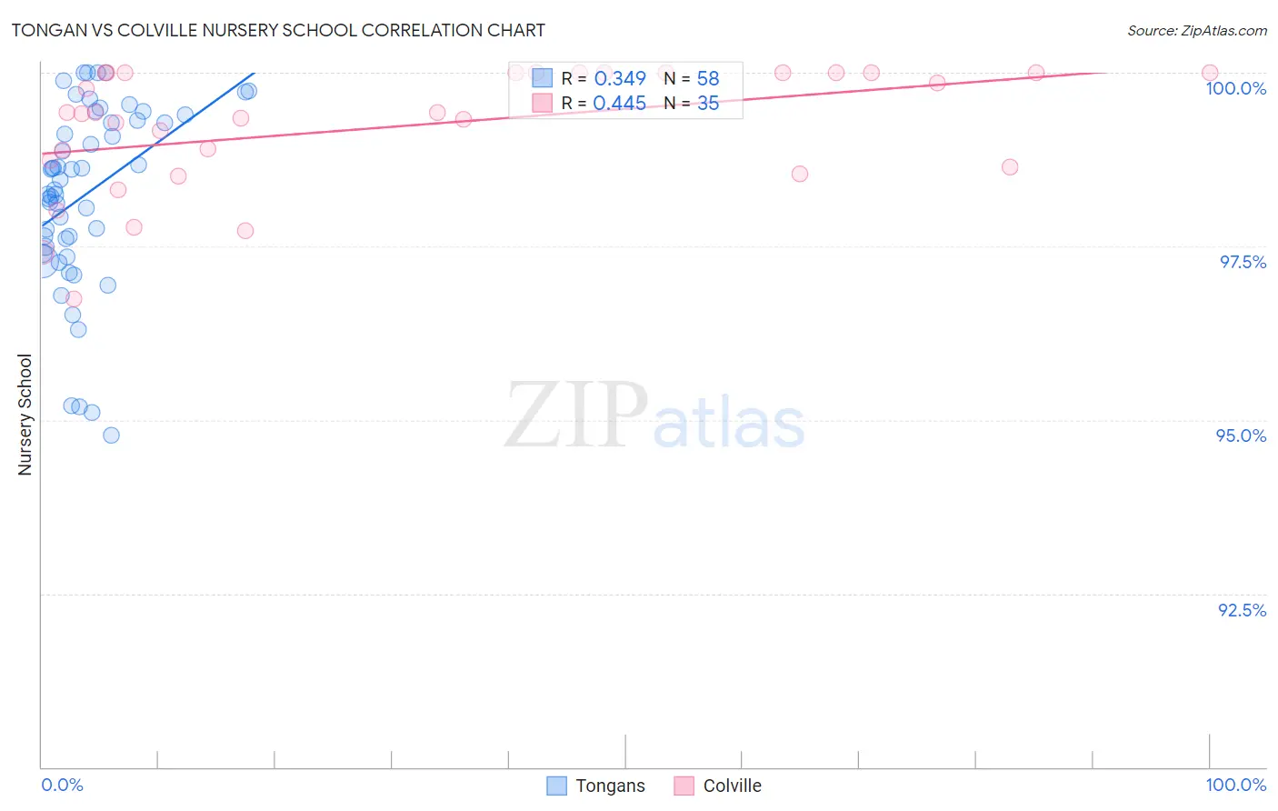 Tongan vs Colville Nursery School