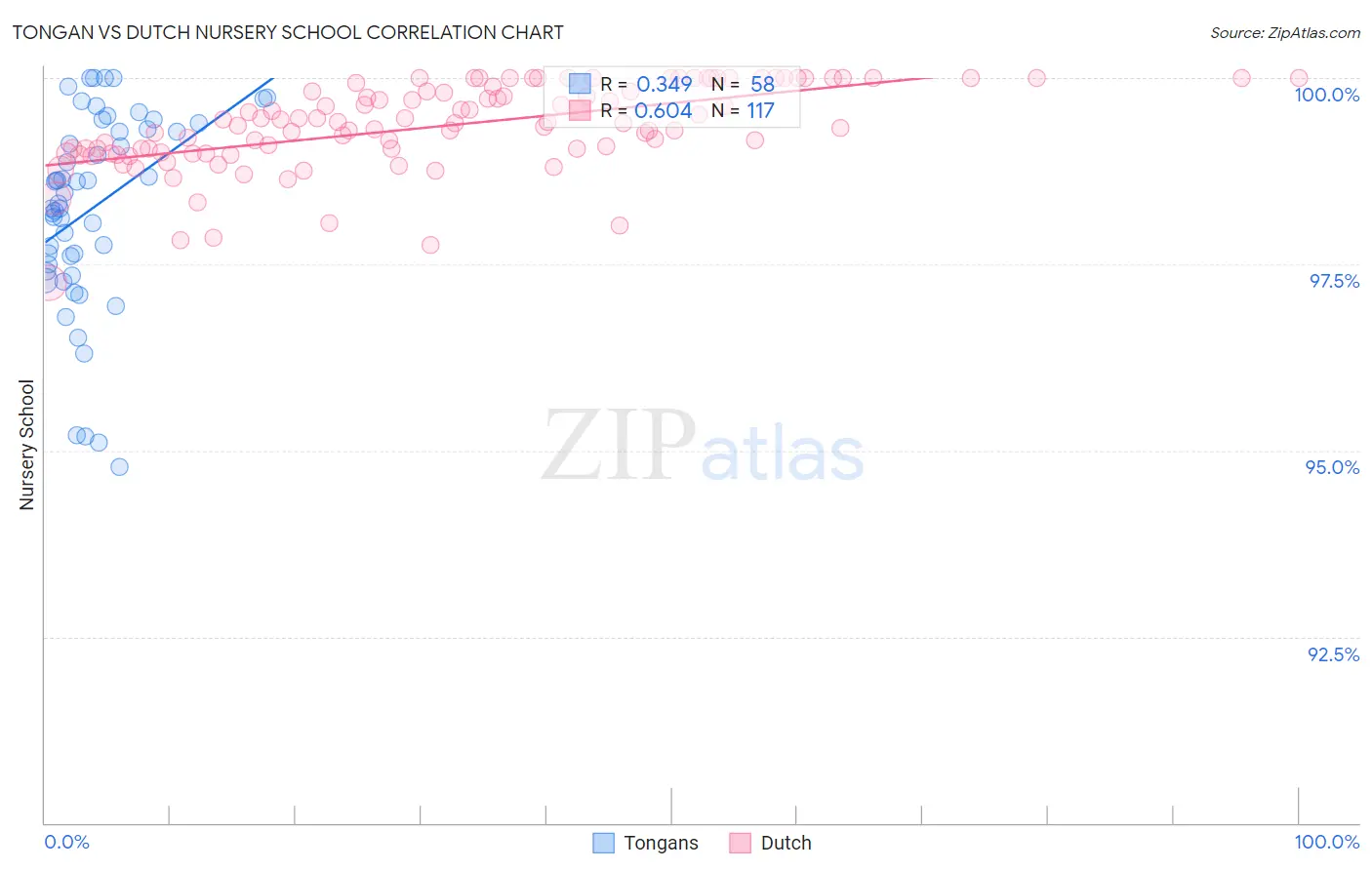 Tongan vs Dutch Nursery School
