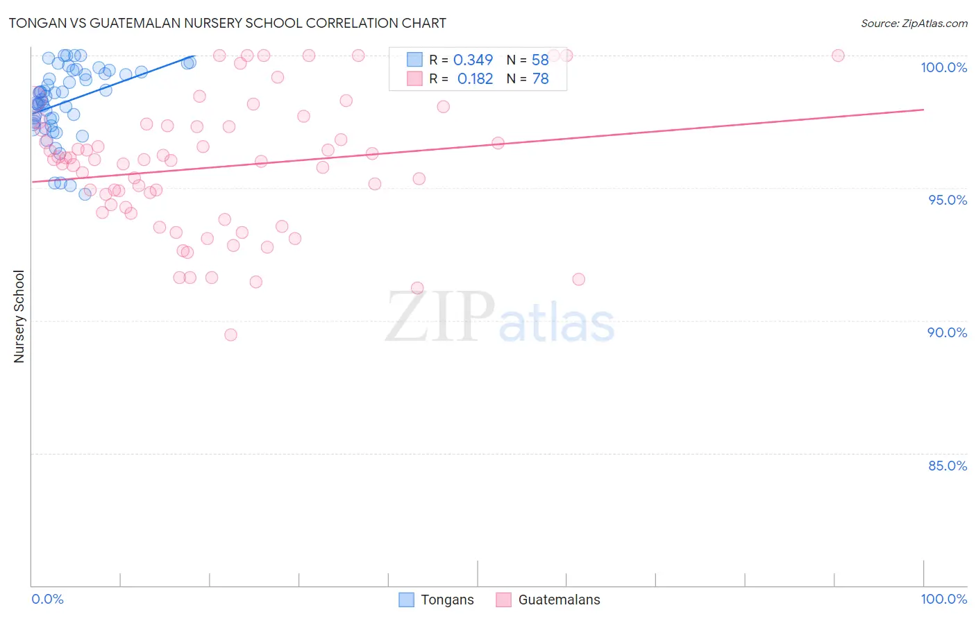 Tongan vs Guatemalan Nursery School