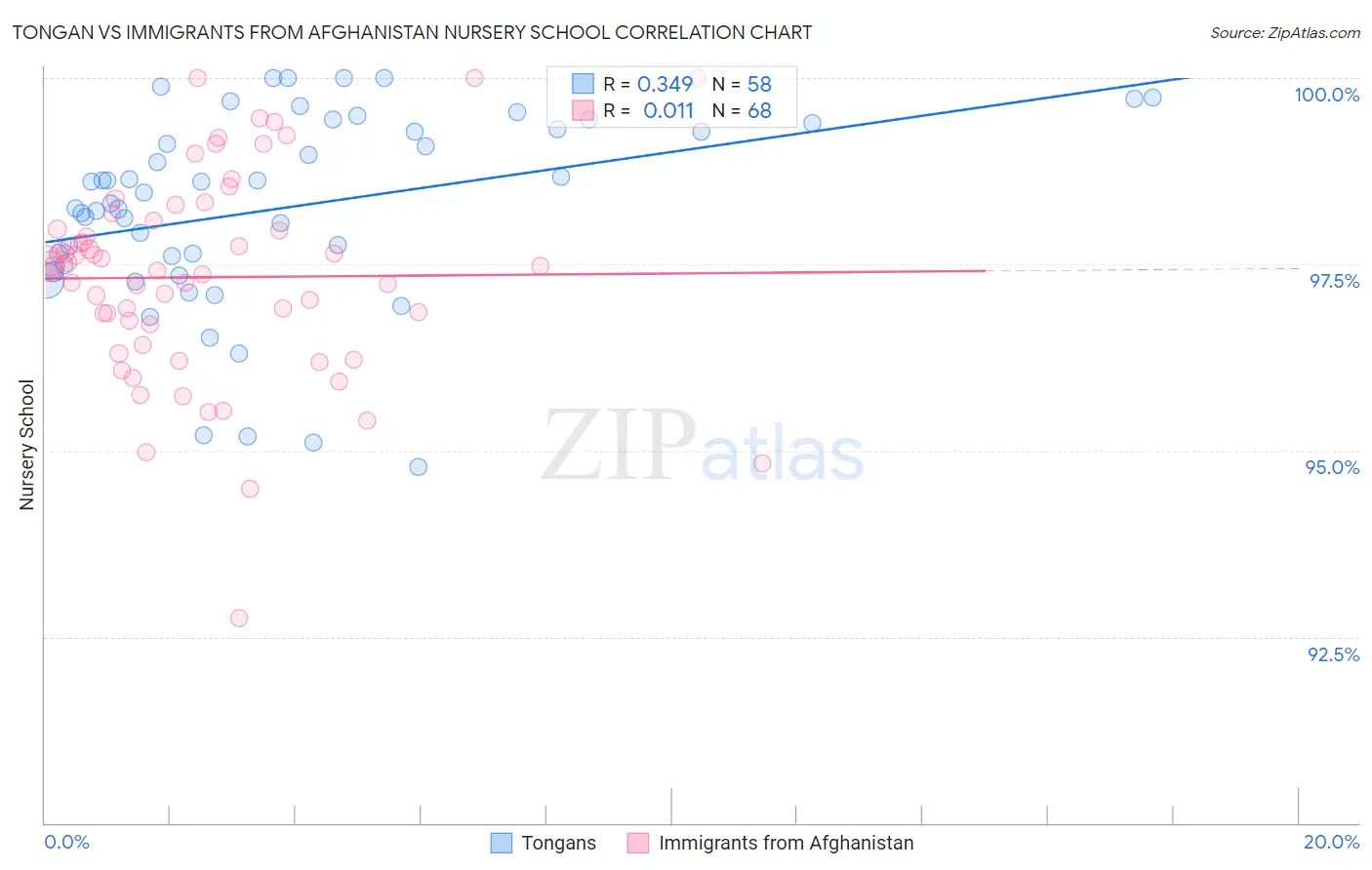 Tongan vs Immigrants from Afghanistan Nursery School