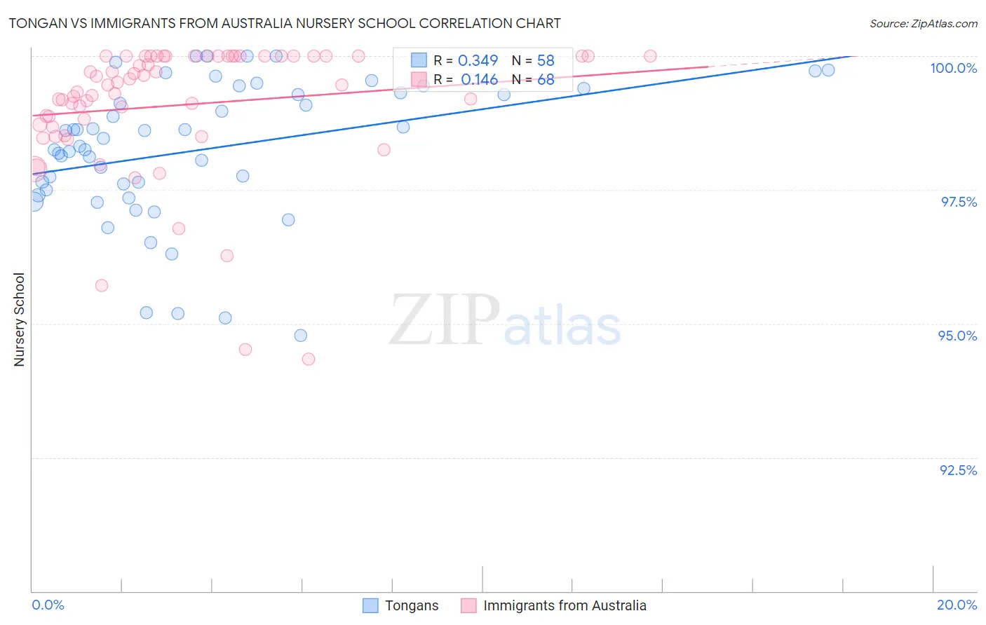 Tongan vs Immigrants from Australia Nursery School