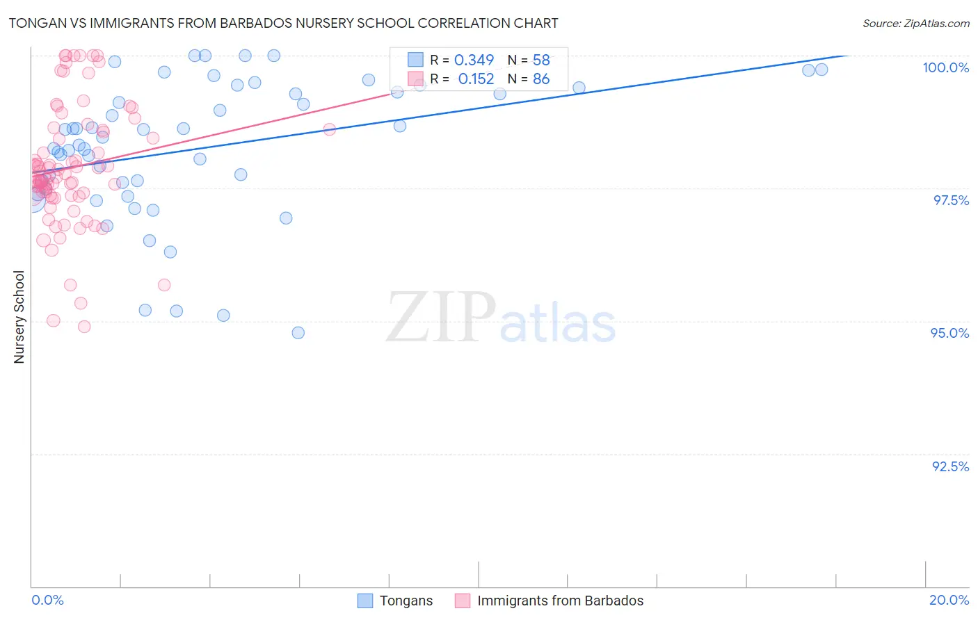 Tongan vs Immigrants from Barbados Nursery School