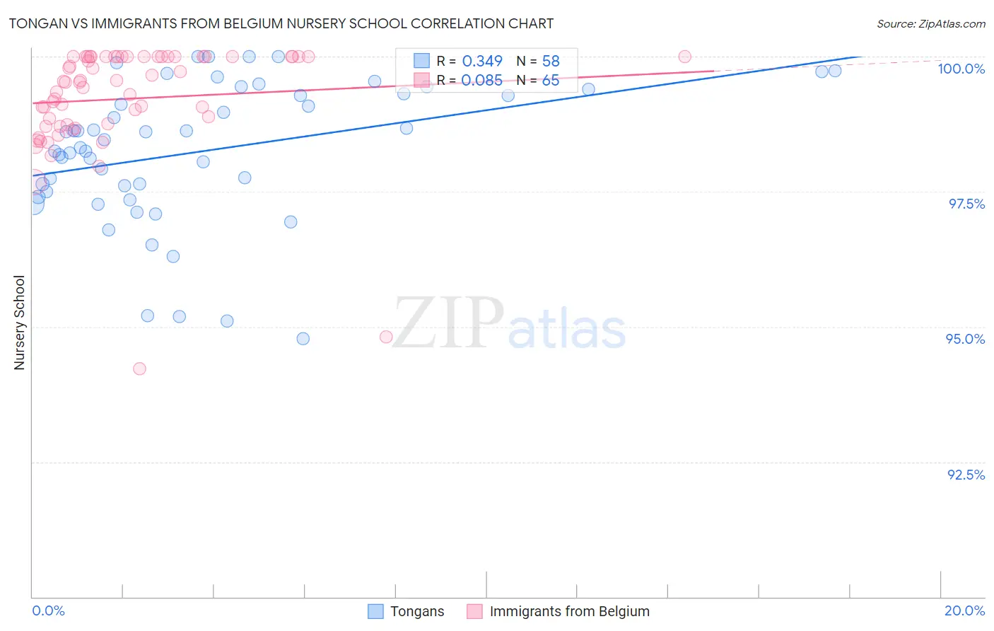 Tongan vs Immigrants from Belgium Nursery School
