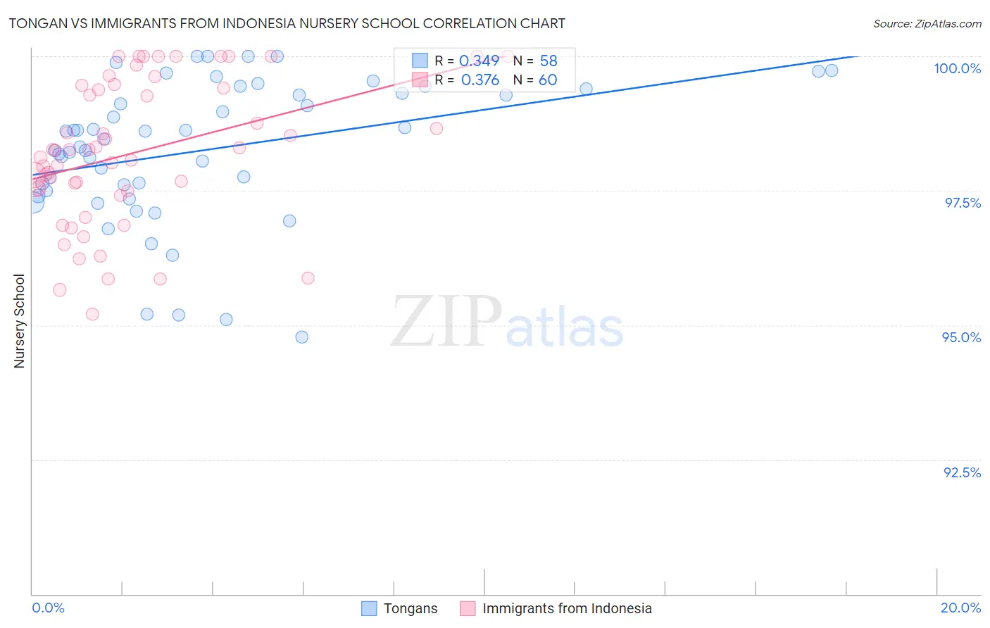 Tongan vs Immigrants from Indonesia Nursery School