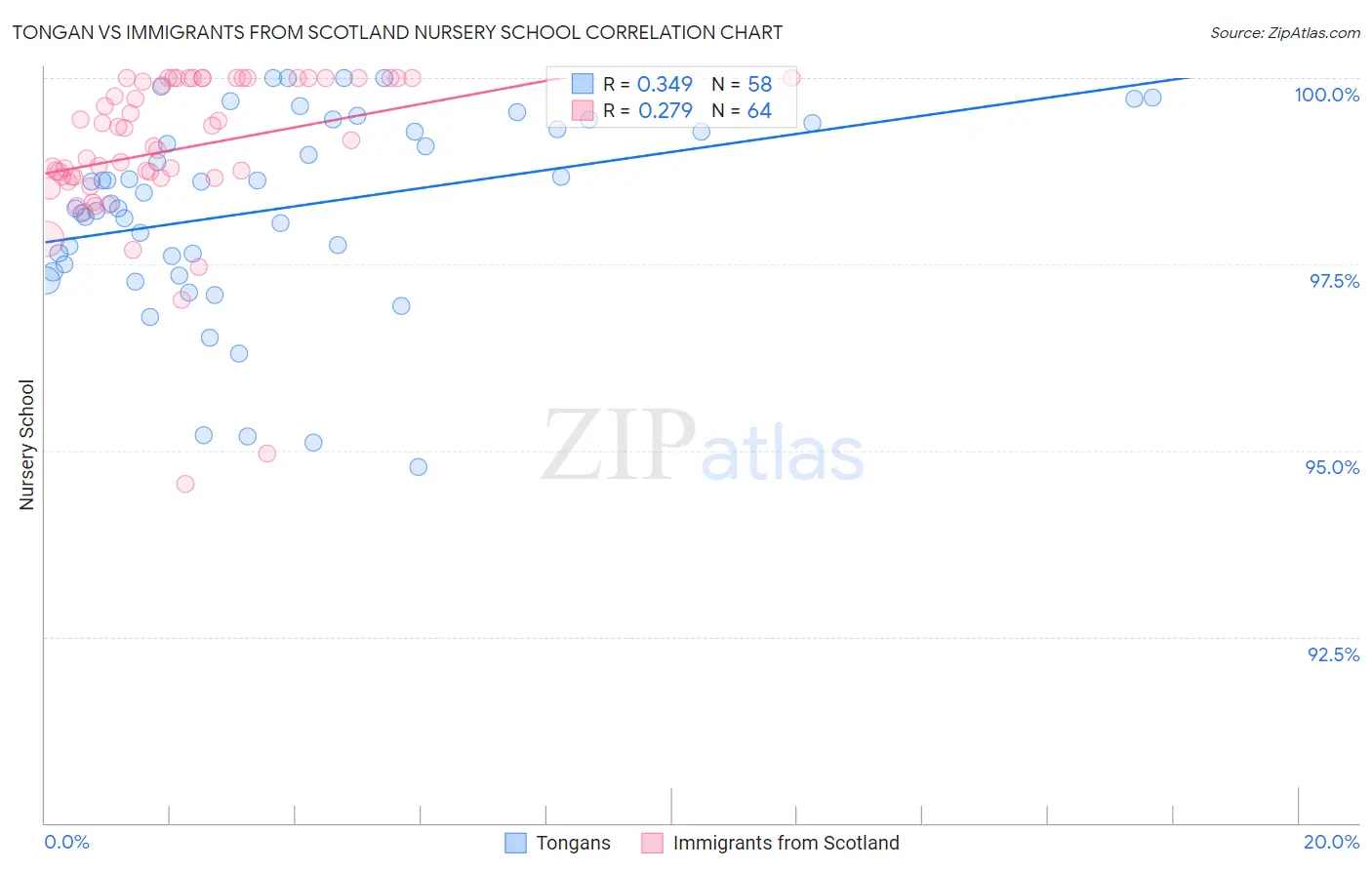 Tongan vs Immigrants from Scotland Nursery School