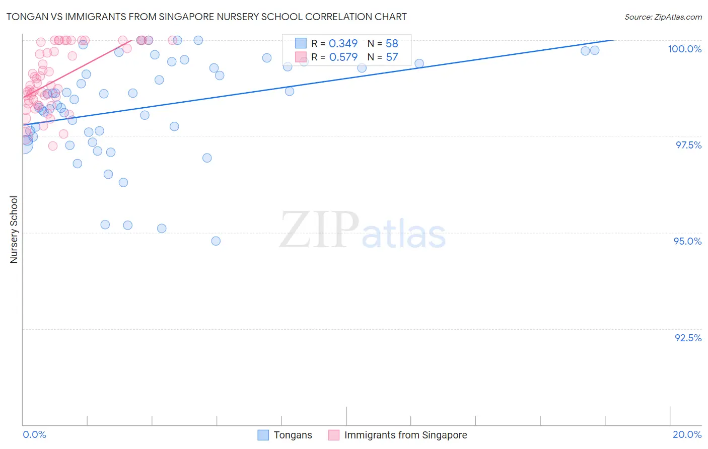 Tongan vs Immigrants from Singapore Nursery School