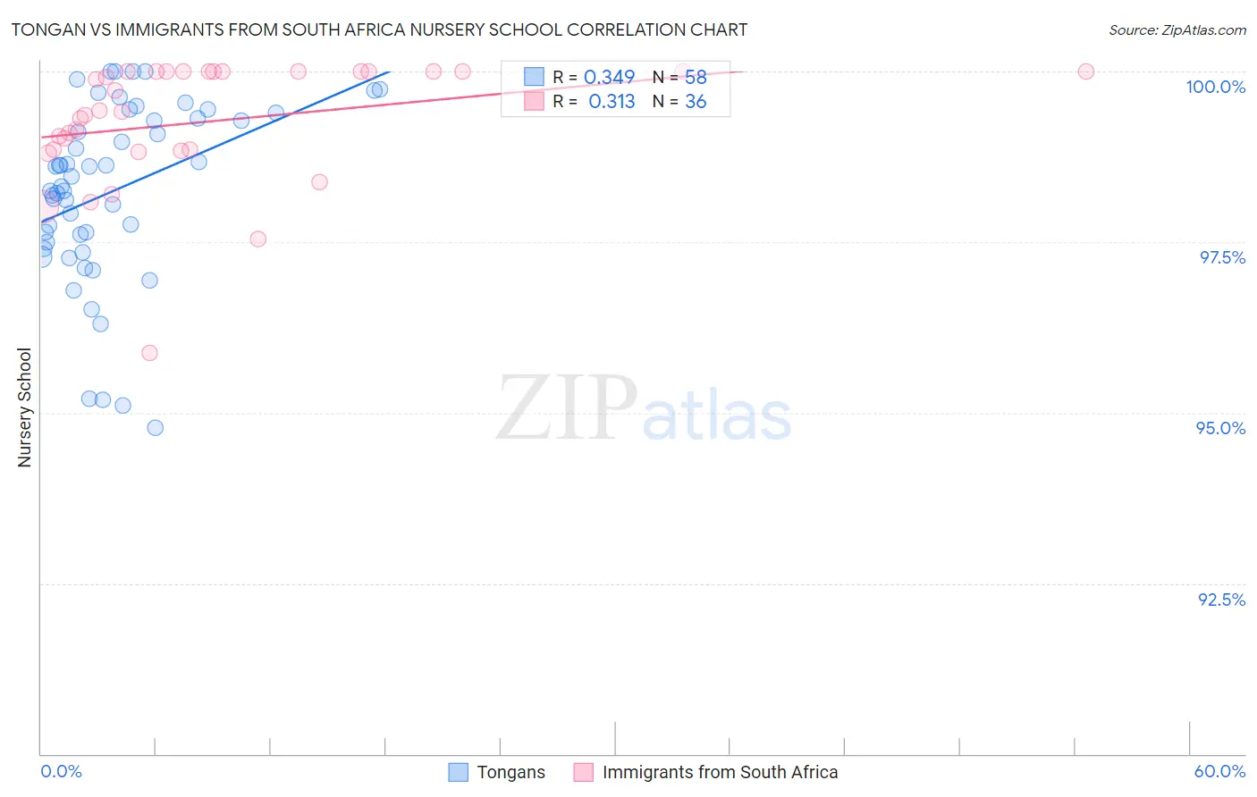 Tongan vs Immigrants from South Africa Nursery School