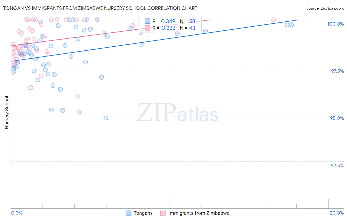 Tongan vs Immigrants from Zimbabwe Nursery School