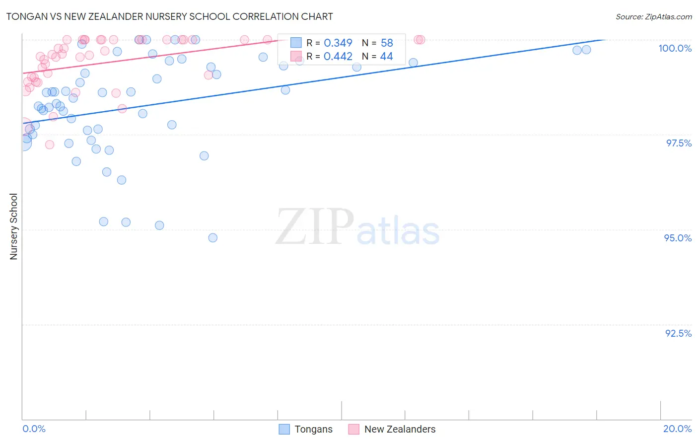 Tongan vs New Zealander Nursery School