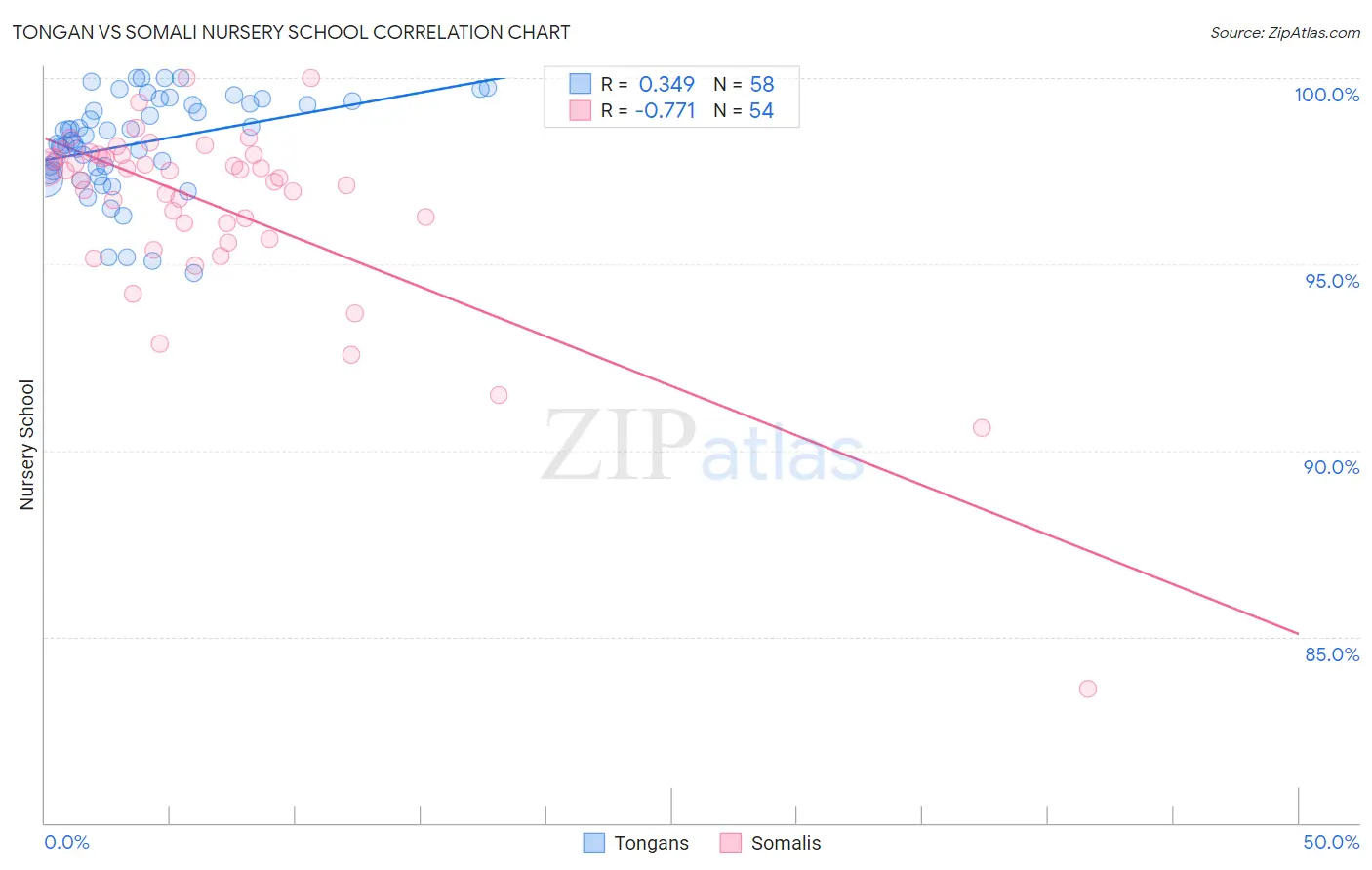 Tongan vs Somali Nursery School