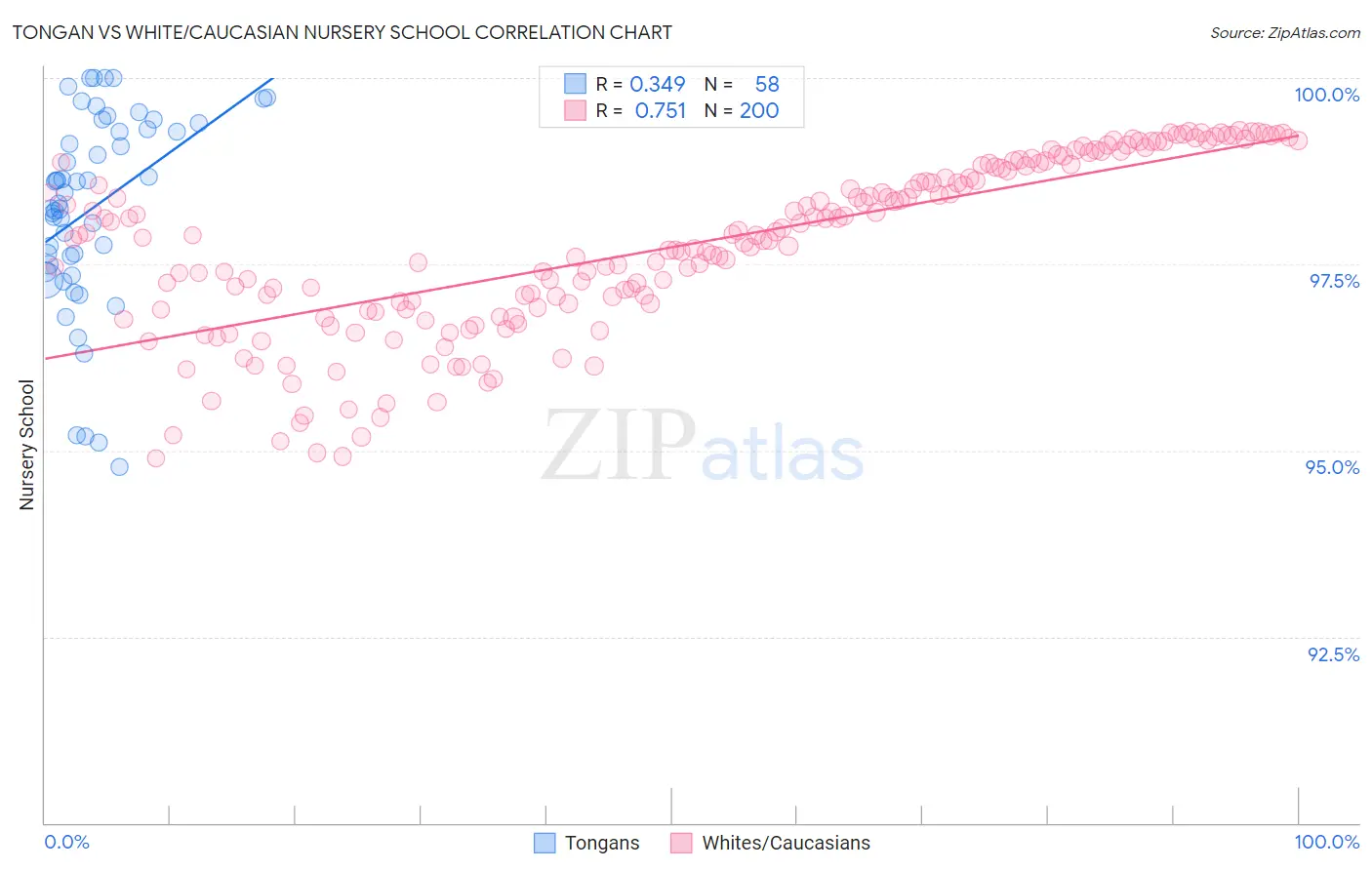 Tongan vs White/Caucasian Nursery School