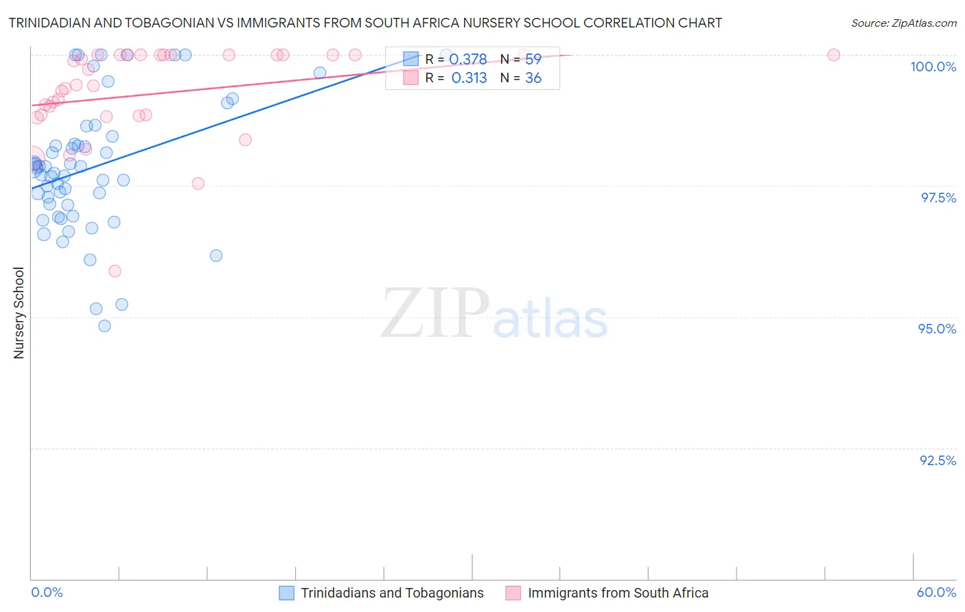 Trinidadian and Tobagonian vs Immigrants from South Africa Nursery School