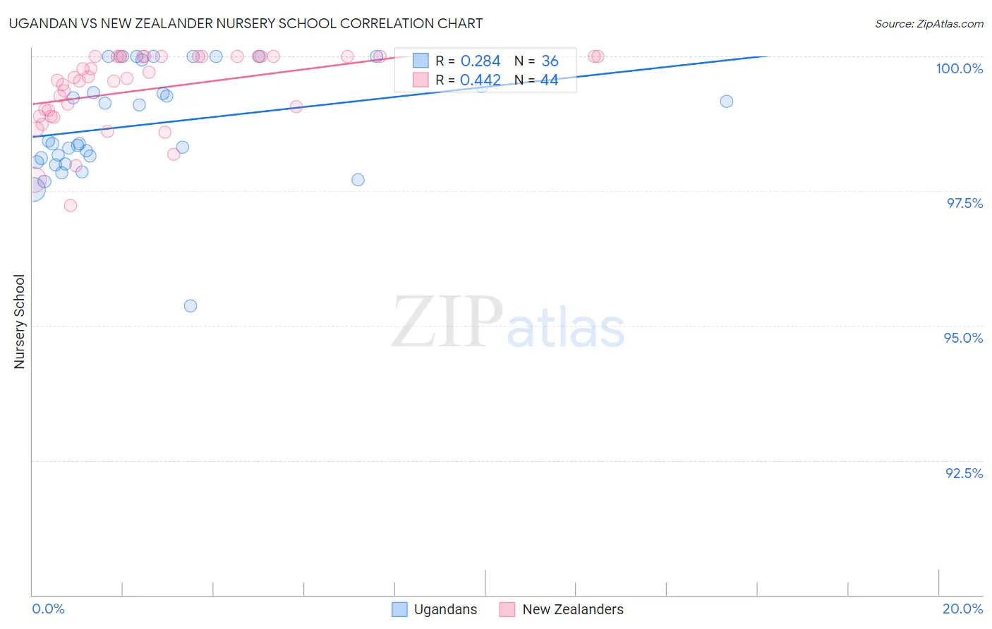 Ugandan vs New Zealander Nursery School