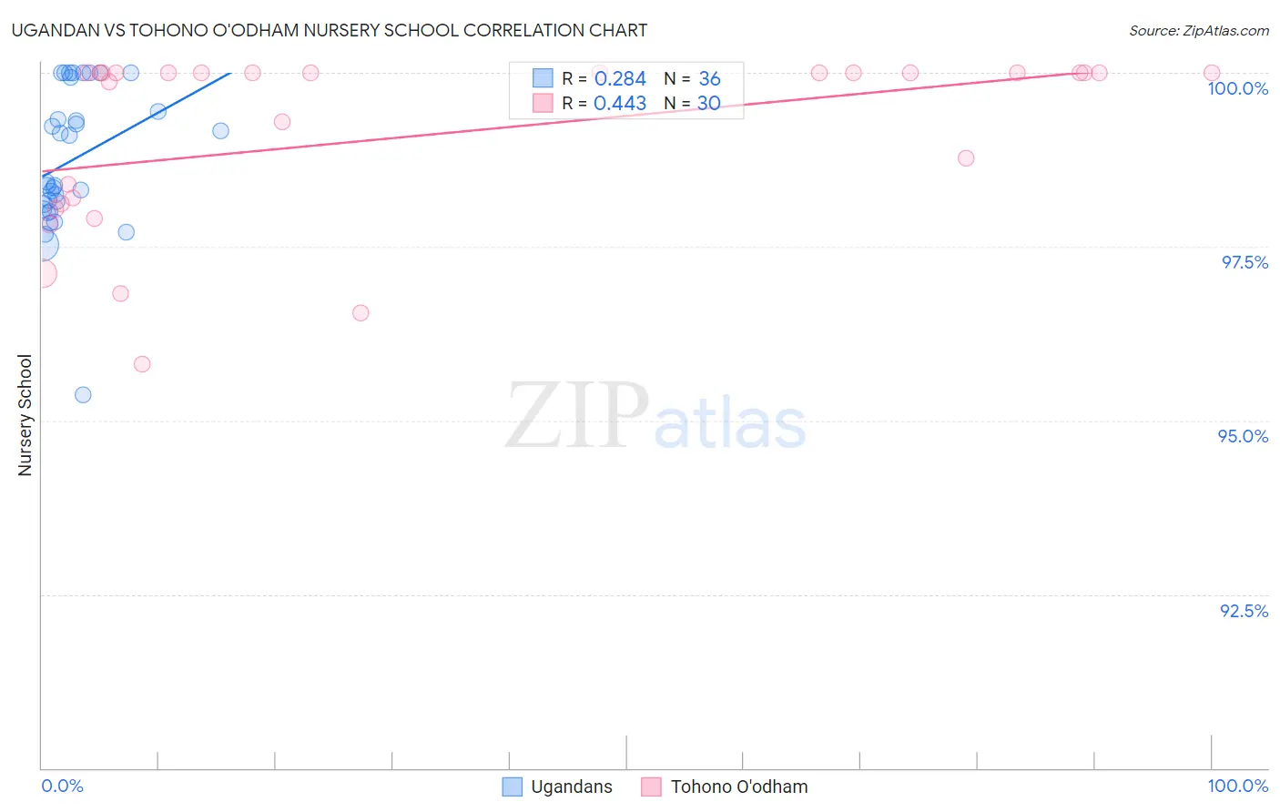 Ugandan vs Tohono O'odham Nursery School