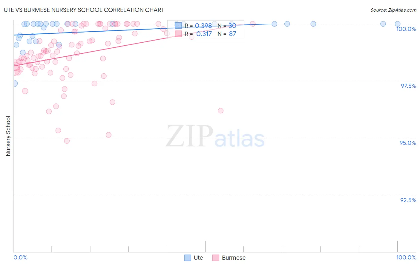 Ute vs Burmese Nursery School