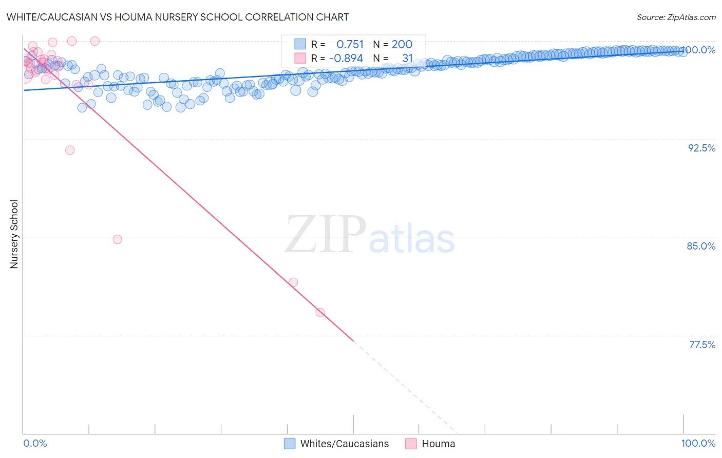 White/Caucasian vs Houma Nursery School