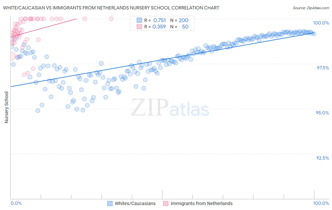 White/Caucasian vs Immigrants from Netherlands Nursery School