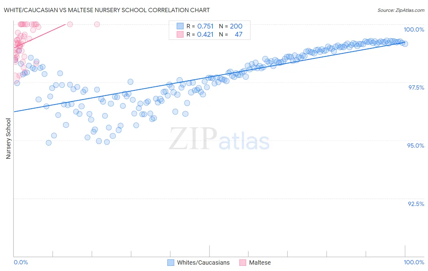 White/Caucasian vs Maltese Nursery School