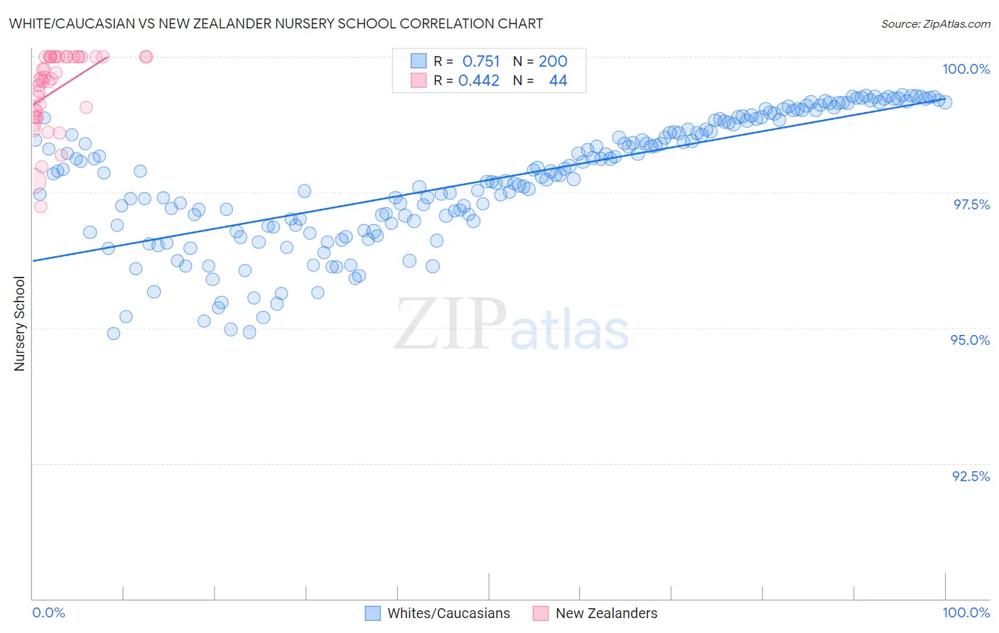White/Caucasian vs New Zealander Nursery School