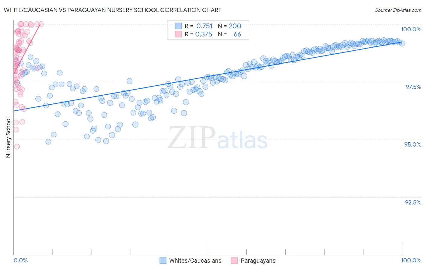 White/Caucasian vs Paraguayan Nursery School