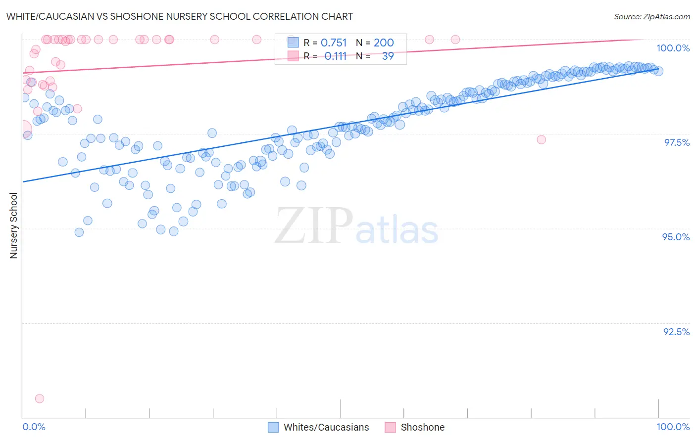 White/Caucasian vs Shoshone Nursery School