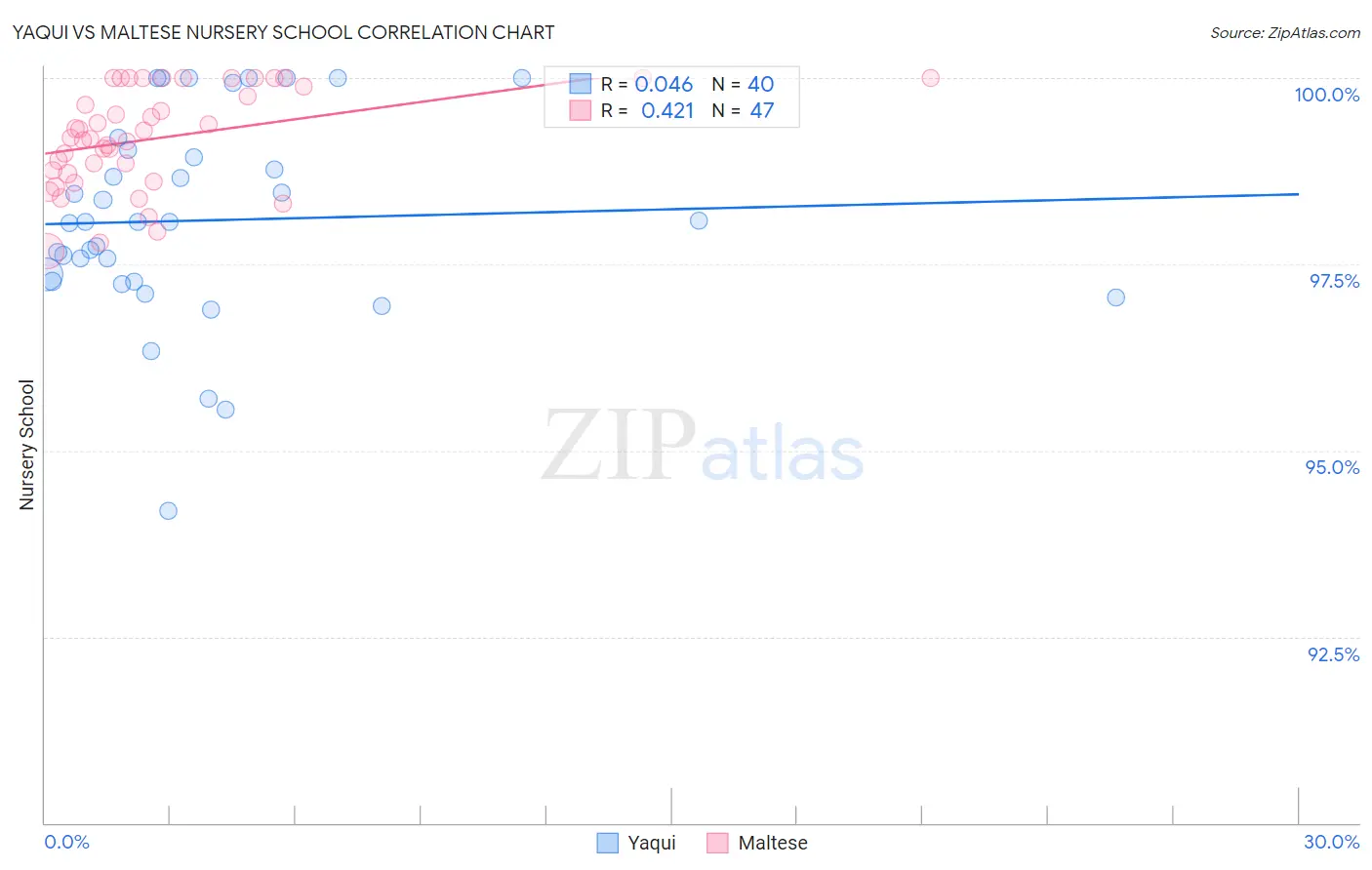 Yaqui vs Maltese Nursery School